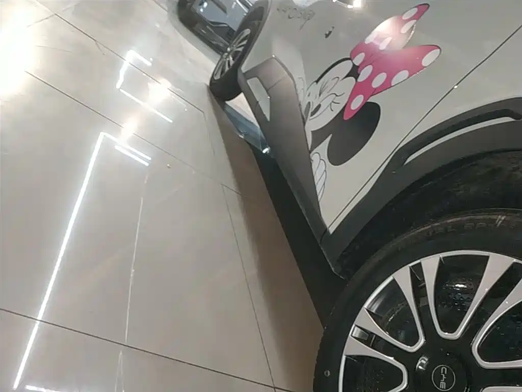 BYD Seagull 2025 305km Vitality фото 21