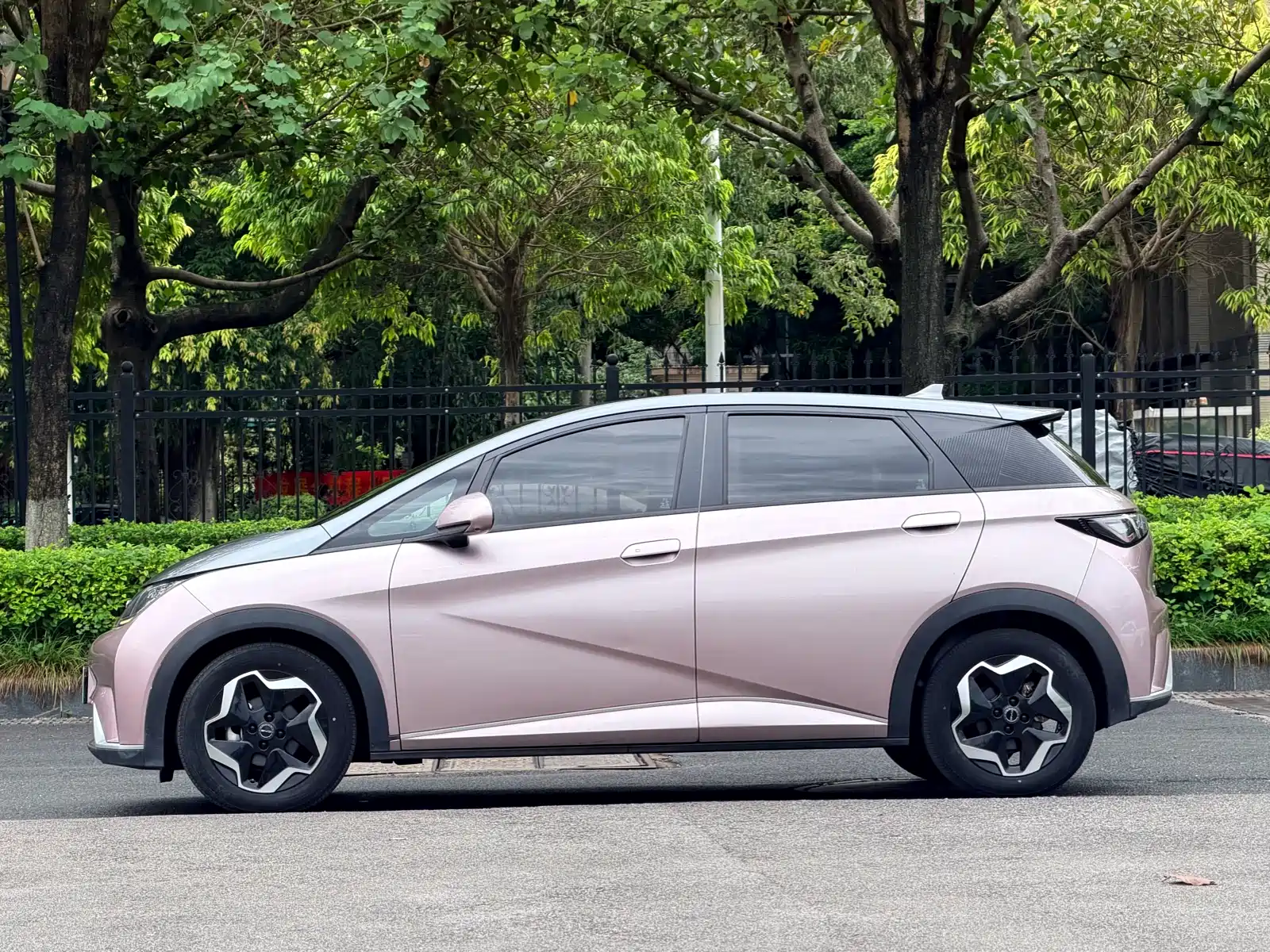 Фото 3 - BYD Dolphin