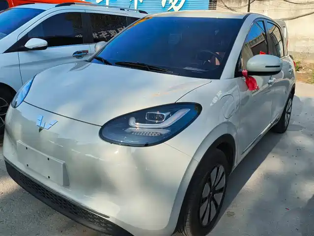 WULING WULING BINGGUO