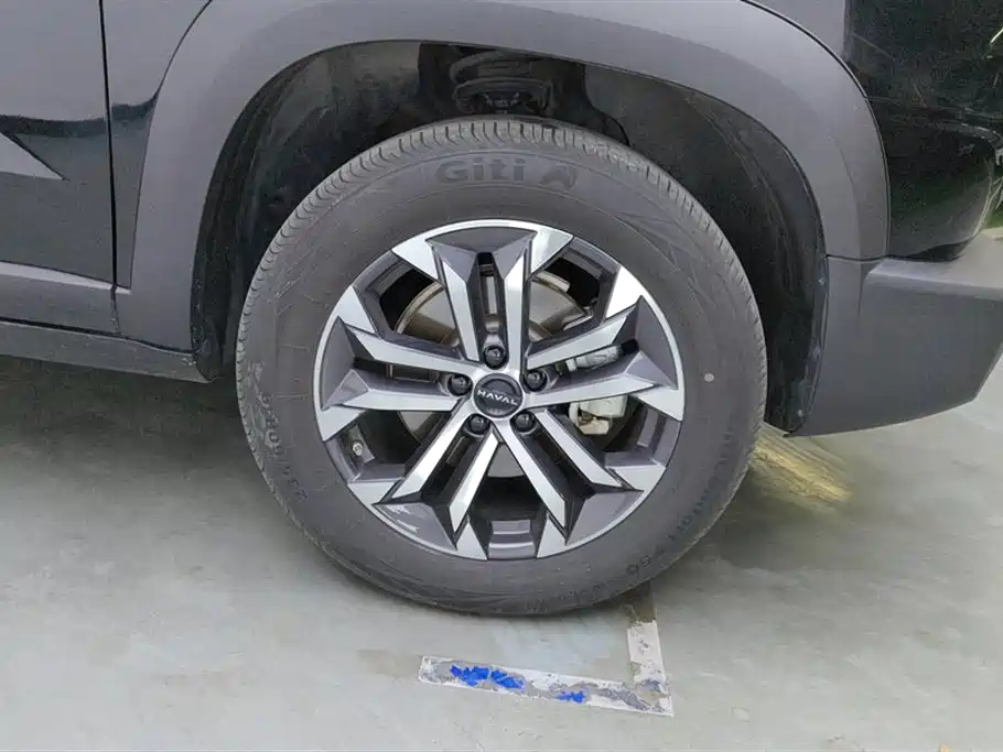 Haval Big Dog 2024 1.5T DCT Border Collie Edition фото 6