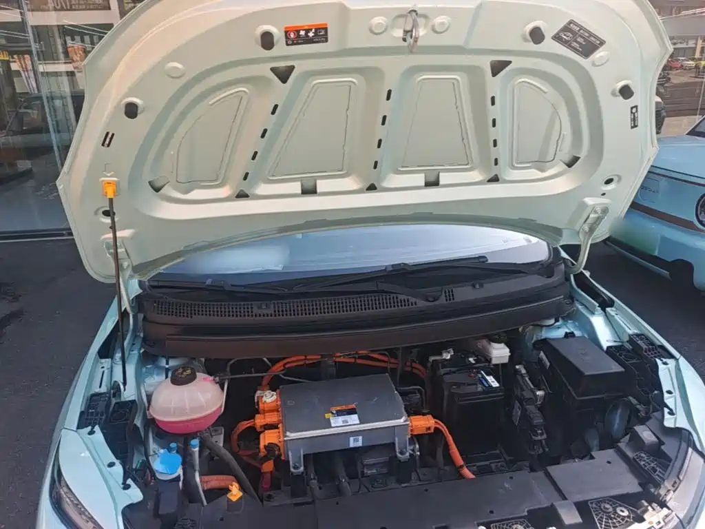 Geely Geometry E Firefly 2023 2023 401KM Super Fan Special Edition 5-Seater