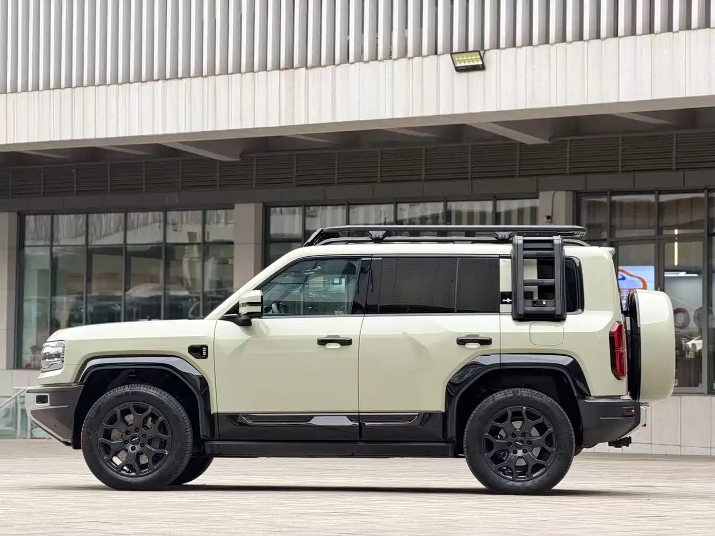 FANG CHENG BAO LEOPARD 5