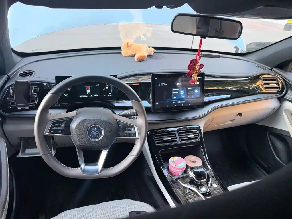 BYD Qin PLUS 2024 Glory Edition DM-i 55KM Leading фото 5