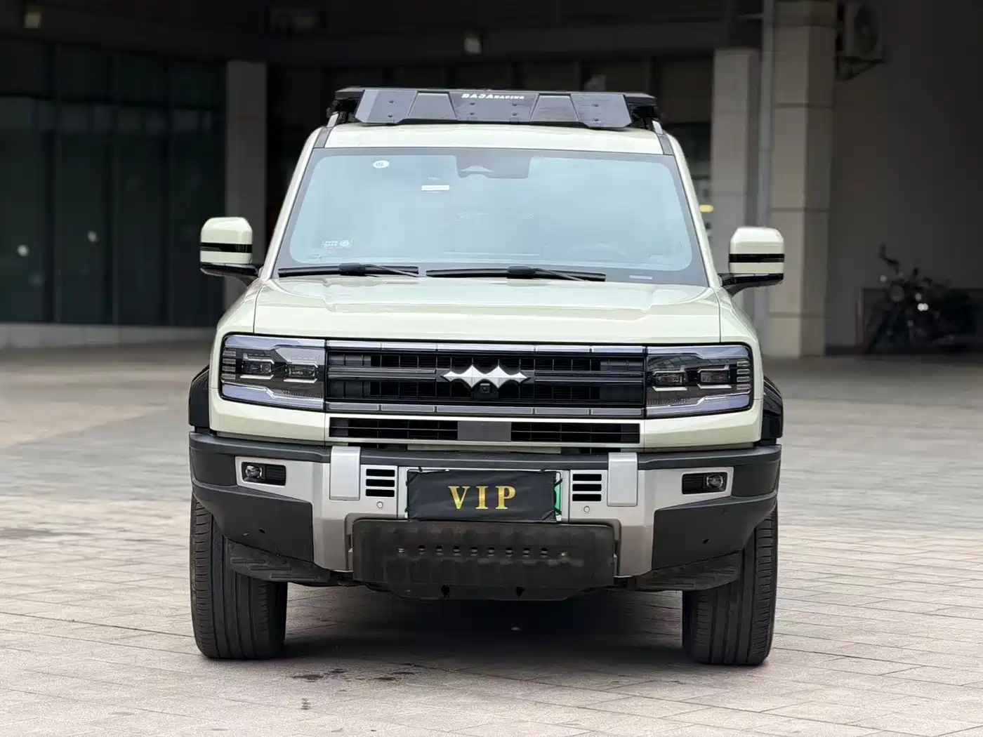 FANG CHENG BAO LEOPARD 5