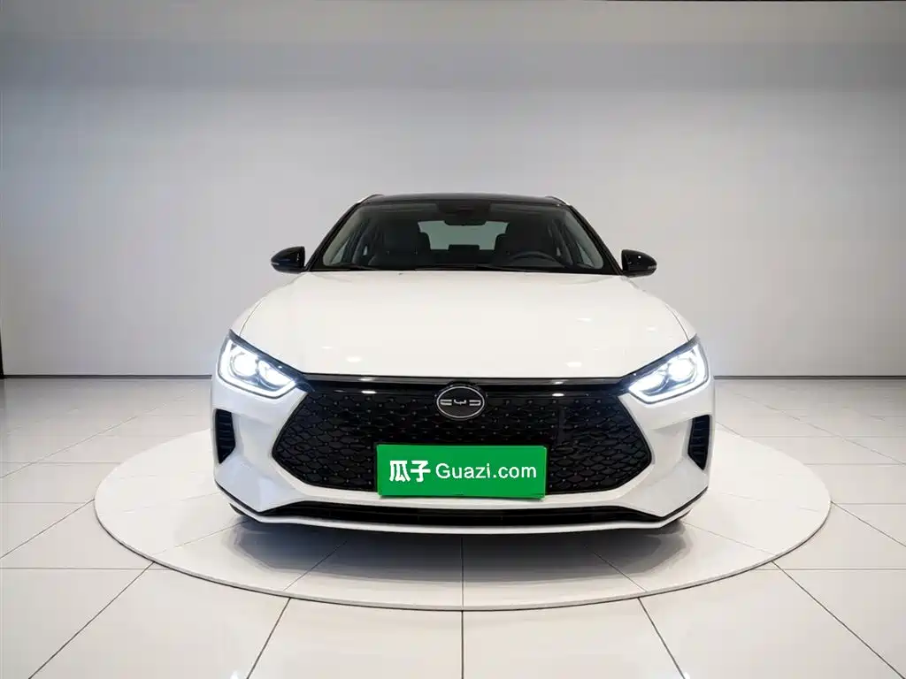 BYD e2 2021 Luxury Edition фото 2