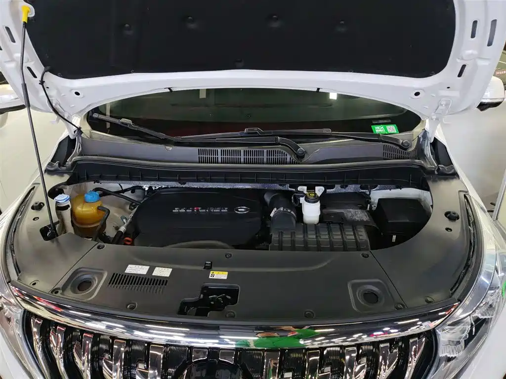 GAC Trumpchi Trumpchi M8 2021 Master Series 390T Ultimate Edition фото 10