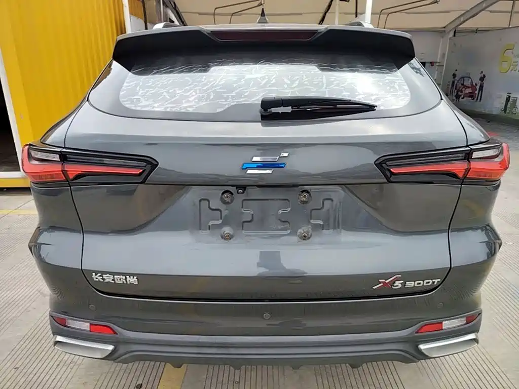 Фото 4 - Changan Oshan Changan Oushang X5
