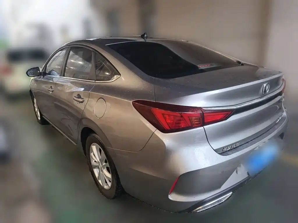 Фото 7 - Changan Eado