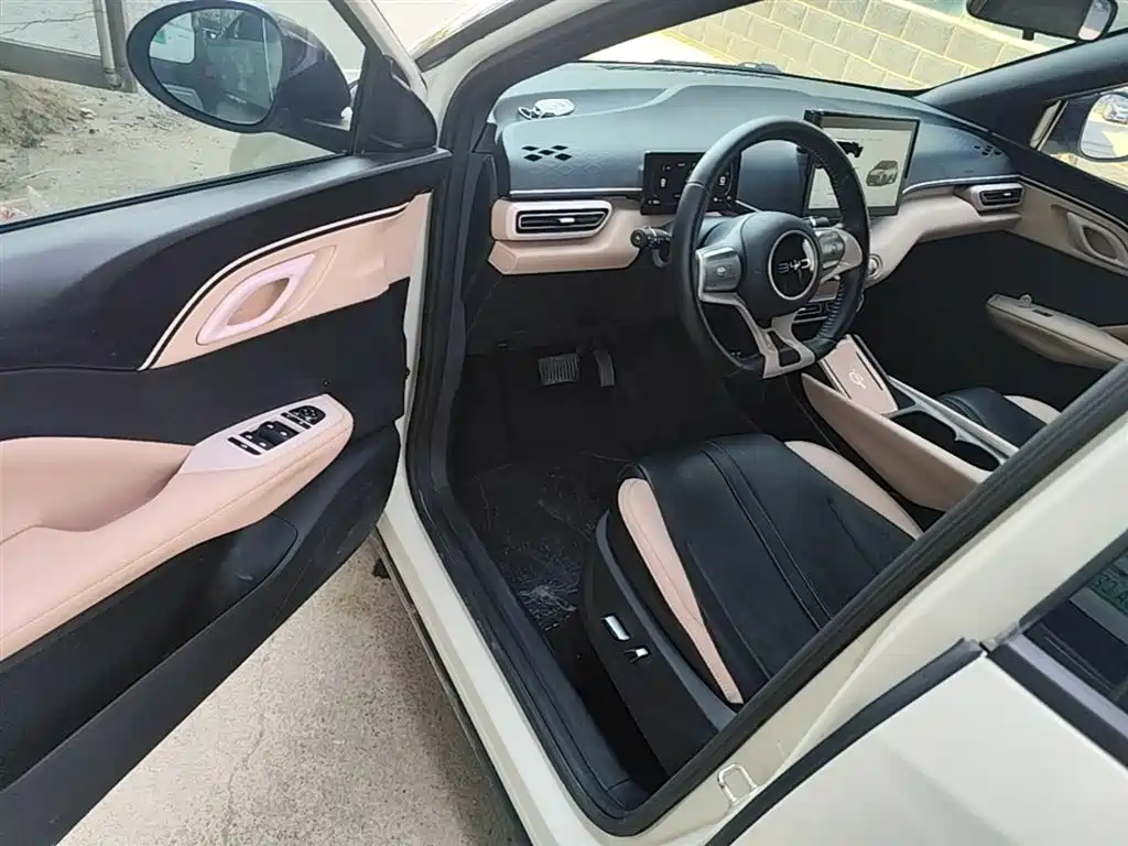 BYD Seagull 2024 Glory Edition 305km Freedom Edition фото 12