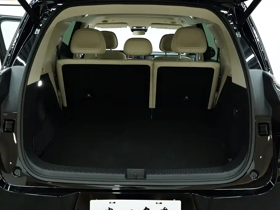 Voyah Auto VOYAH Zhuiguang L 2025 2025 Mid-configuration Model
