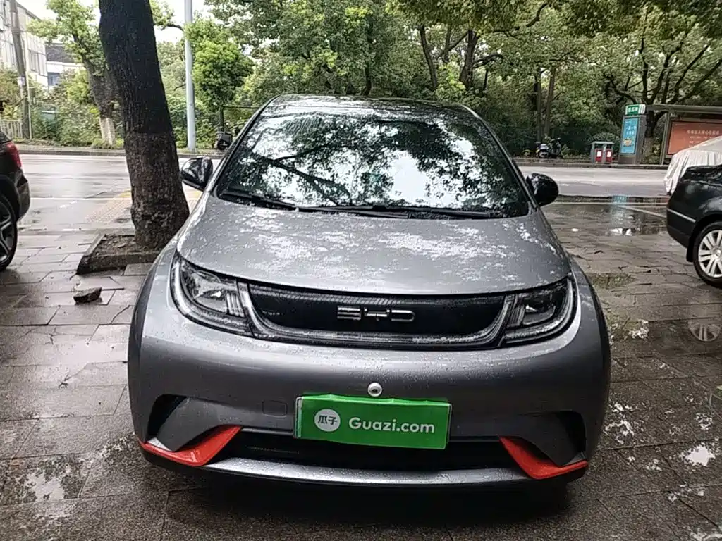 Фото 3 - BYD Dolphin