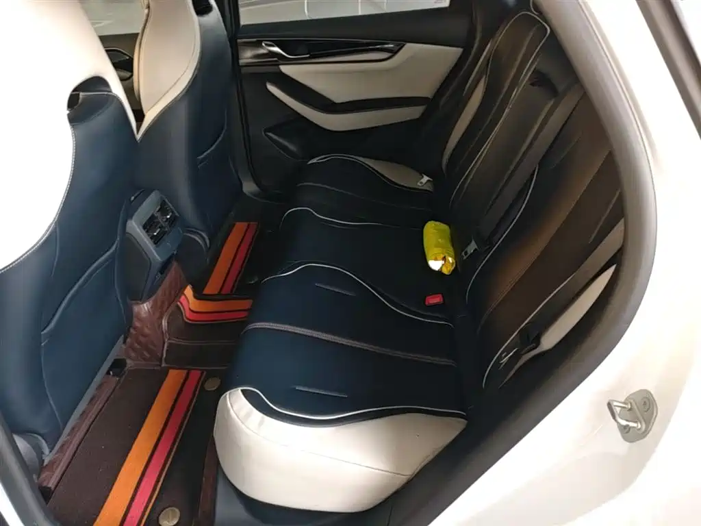 BYD Qin PLUS 2021 EV 500KM Luxury Model фото 17