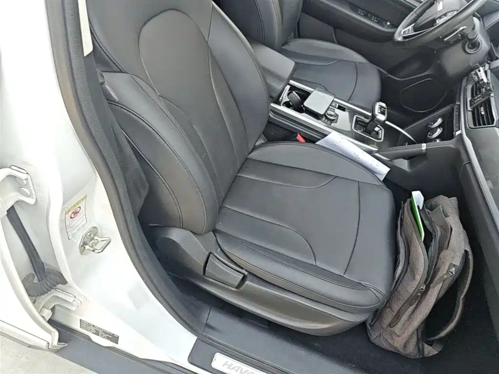 Haval H6 2018 Blue Label Sport 1.5T Automatic 2WD Elite фото 25