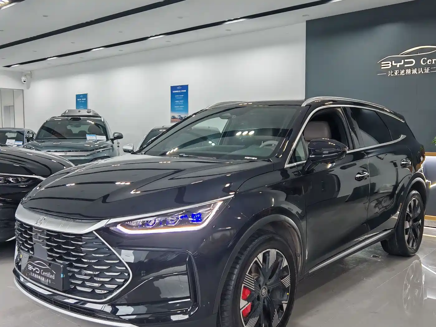 BYD Tang New Energy 2024 DM-p Champion Edition 215KM 4WD Premium