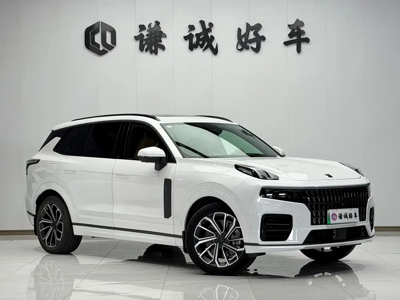 Lynk & Co 09 EM-P 2023 2.0TD EM-P Long Range PM 6-Seater фото 3