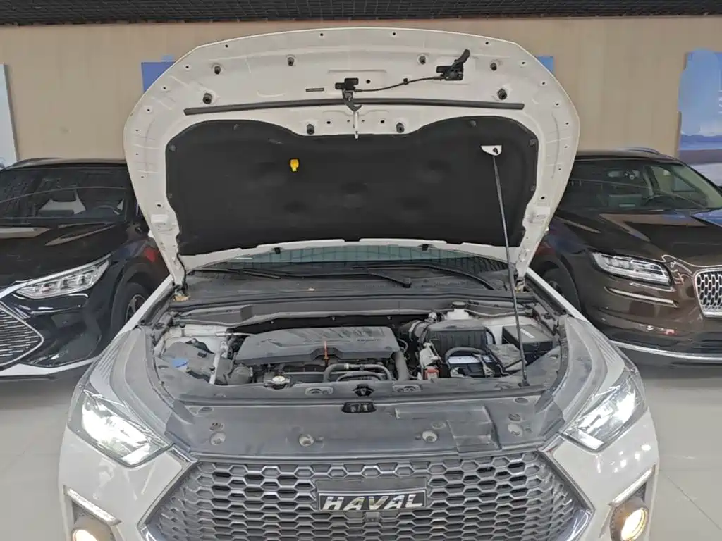 Фото 20 - Haval H6 Coupe
