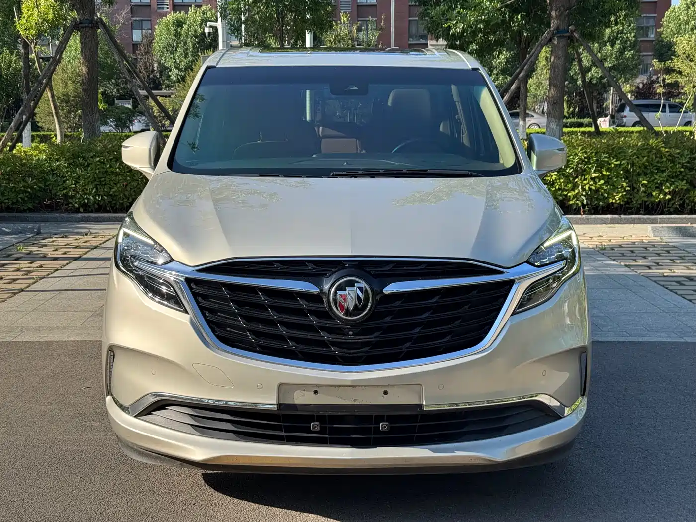 Buick GL8 2020 Model ES Landglory 653T Luxury фото 2