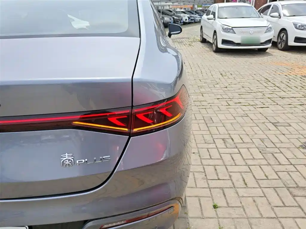 BYD Qin PLUS 2021 DM-i 120KM Premium фото 8