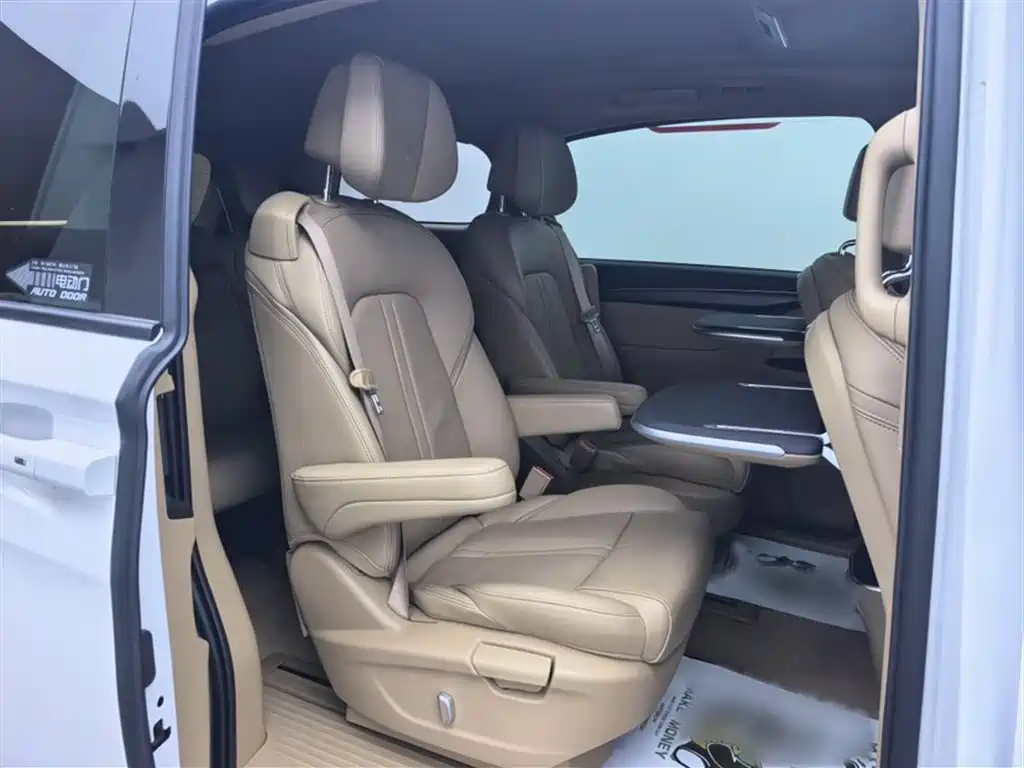 Buick GL8 2021 ES Landlord 653T Premium фото 15