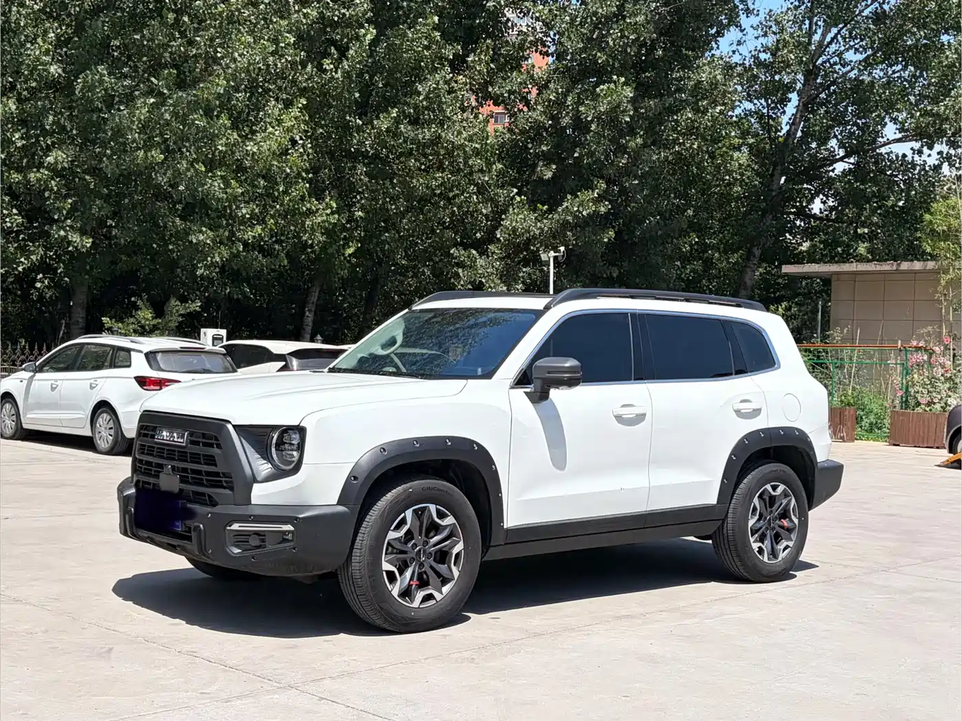 Haval Big Dog 2024 2.0T DCT Chinese Rural Dog Edition фото 4
