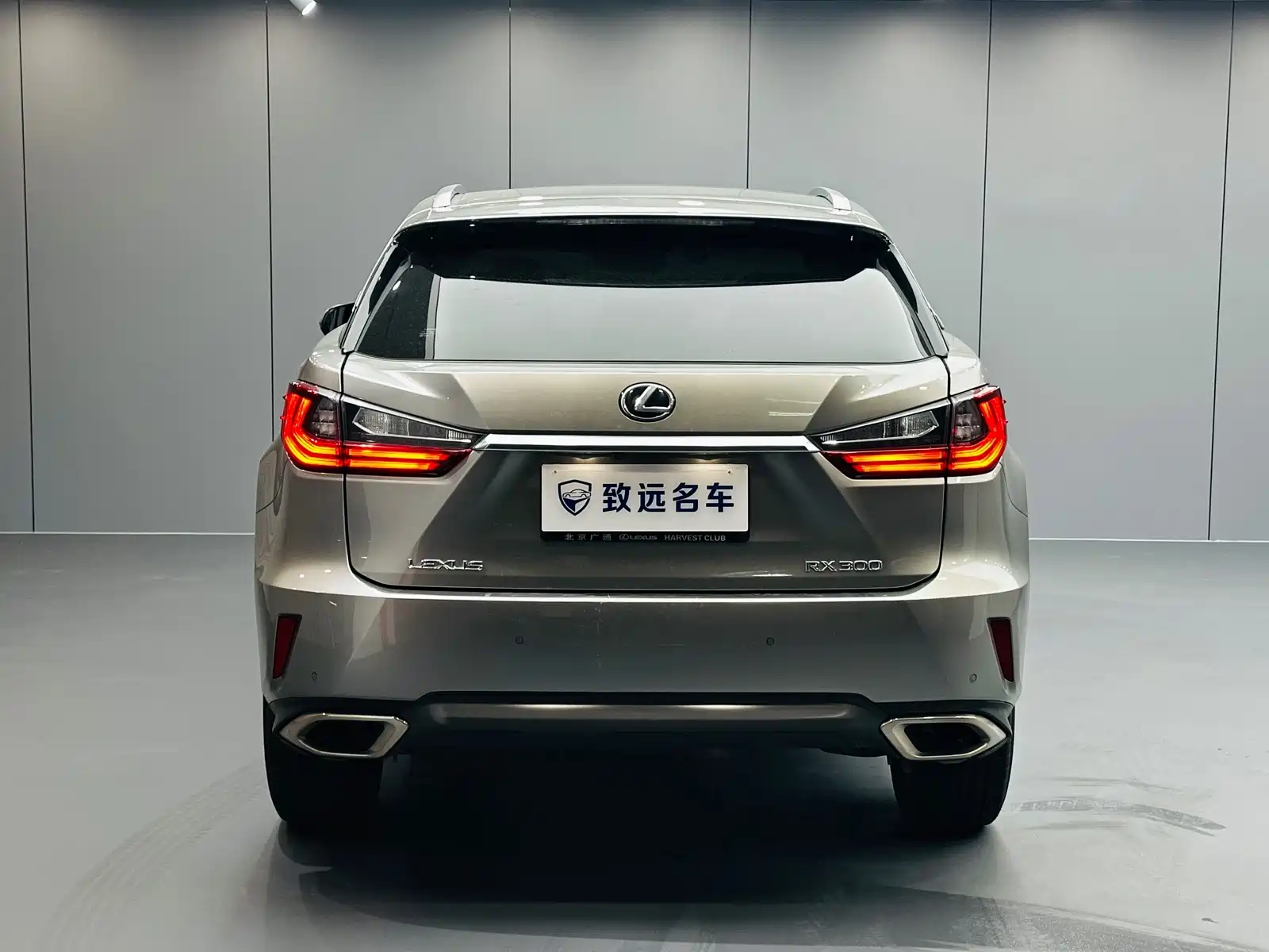 Фото 6 - Lexus RX