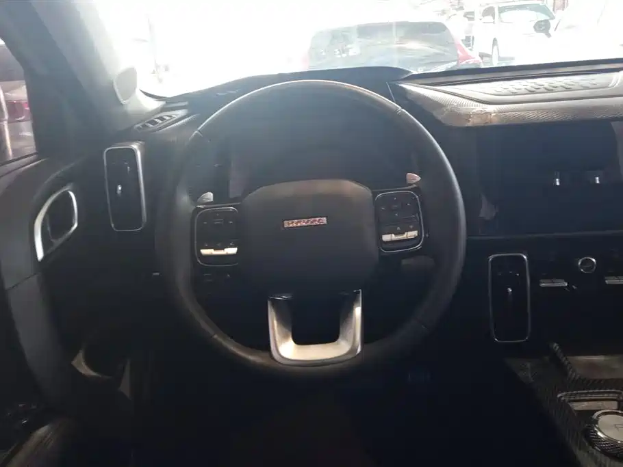 Haval Big Dog 2021 1.5T DCT 2WD Labrador Edition фото 15