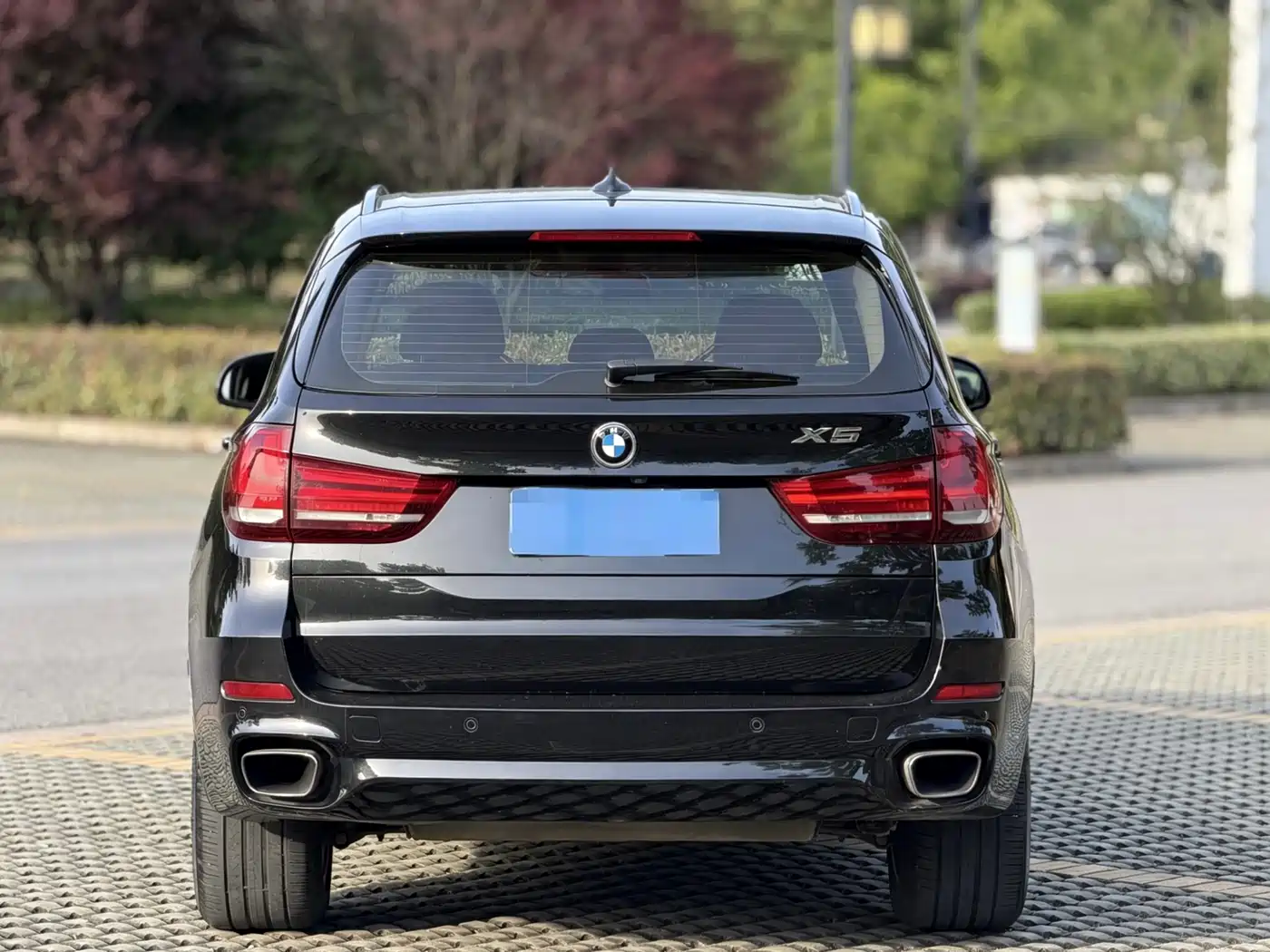 BMW X5 (Import) 2017 xDrive35i Elegance фото 5
