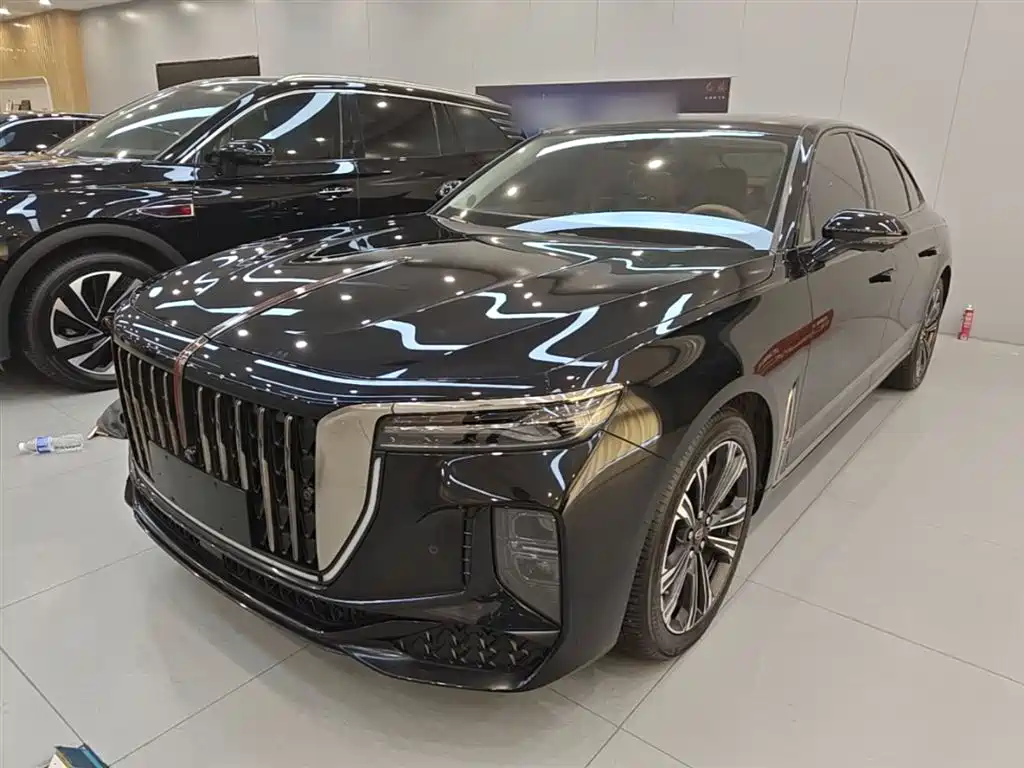 Hongqi H9 2024 2.0T Qi Enjoy Private Fashion Edition