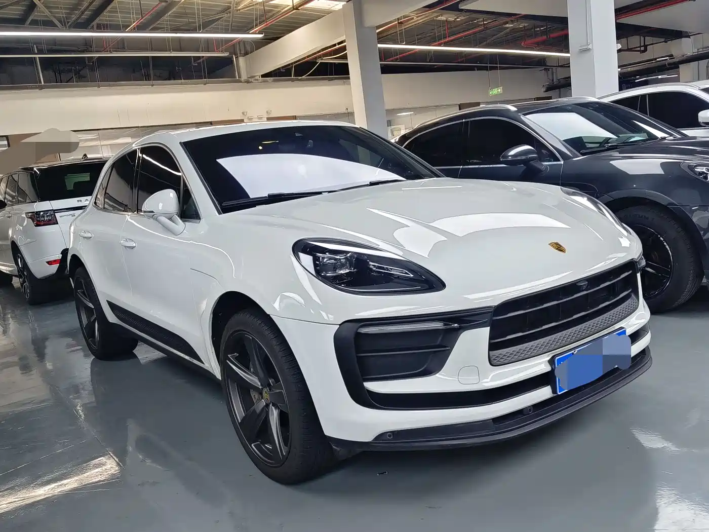 Porsche Macan 2022 Macan 2.0T фото 3