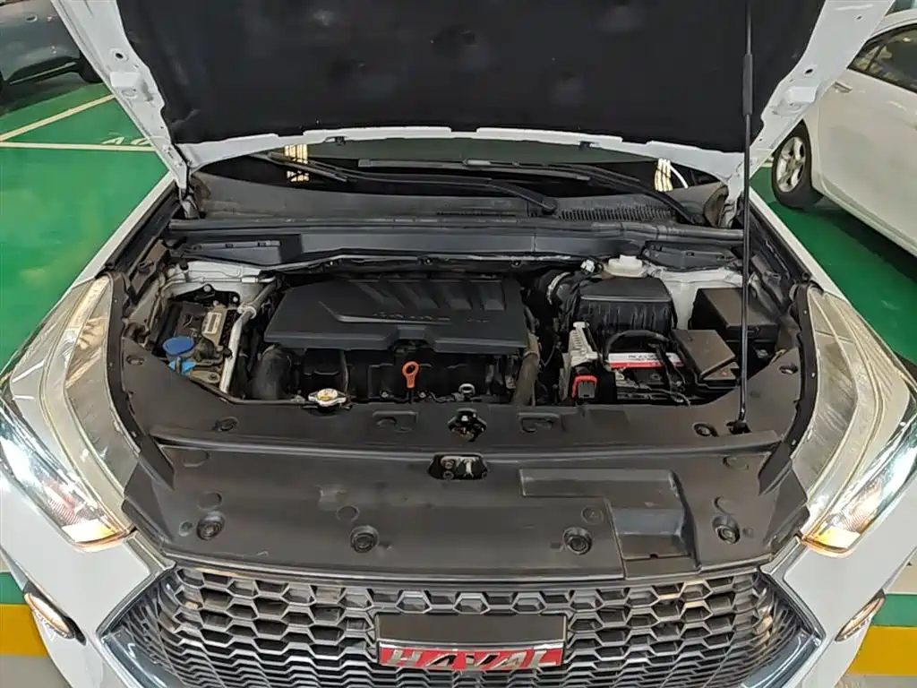 Haval H6 Coupe 2018 Red Label 1.5T Auto 2WD Luxury Edition фото 20
