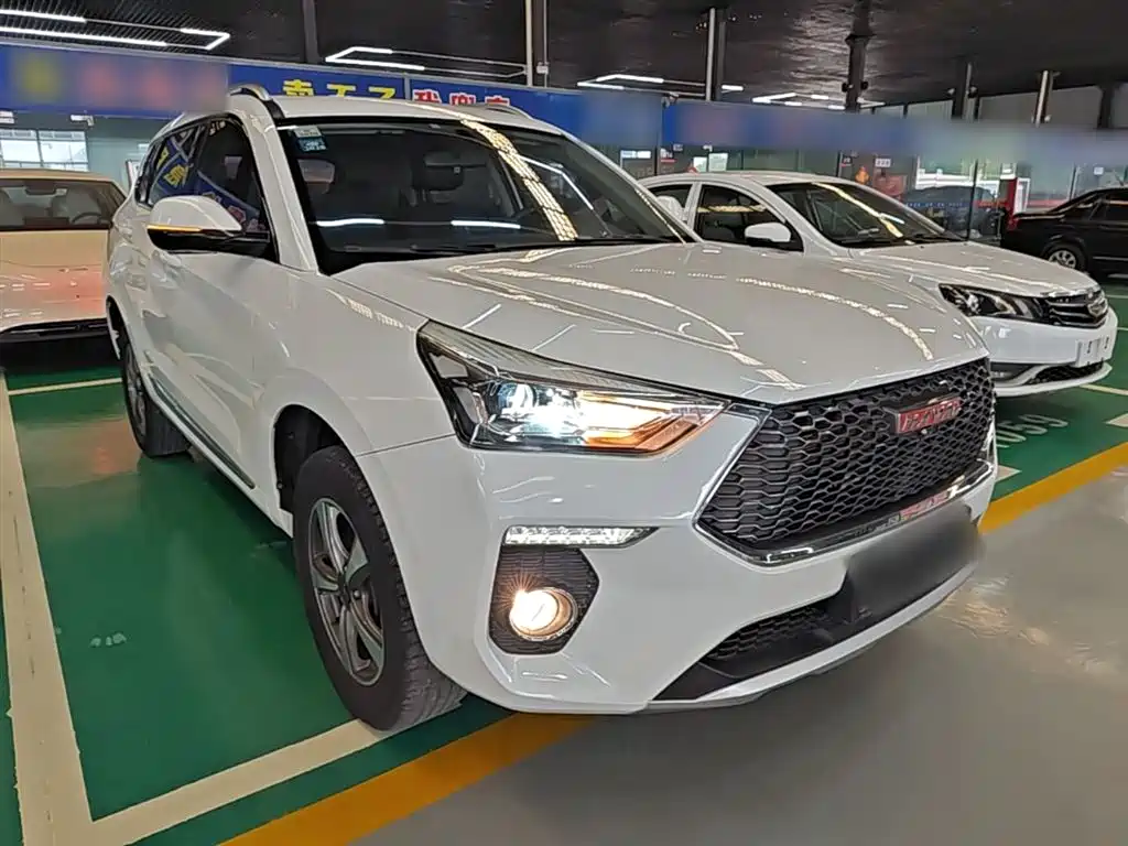 Haval H6 Coupe 2018 Red Label 1.5T Auto 2WD Luxury Edition фото 4