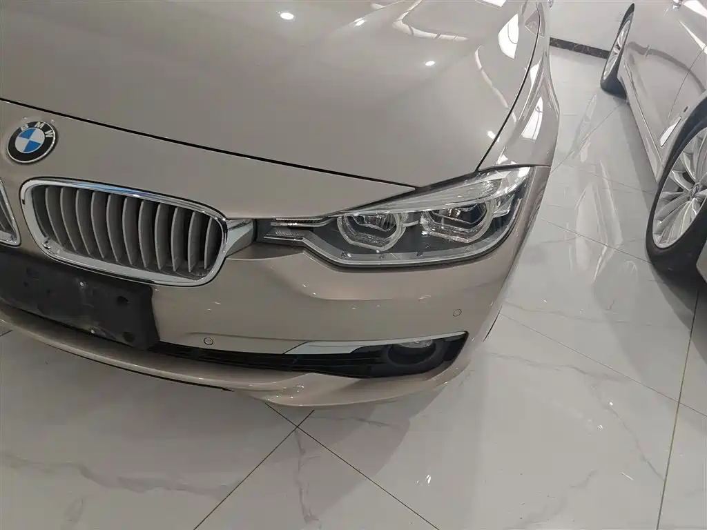 BMW 3 Series 2019 320Li Fashion Type фото 18
