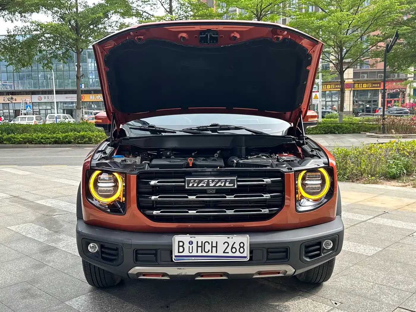 Haval Big Dog 2021 1.5T DCT 2WD Border Collie Edition фото 14