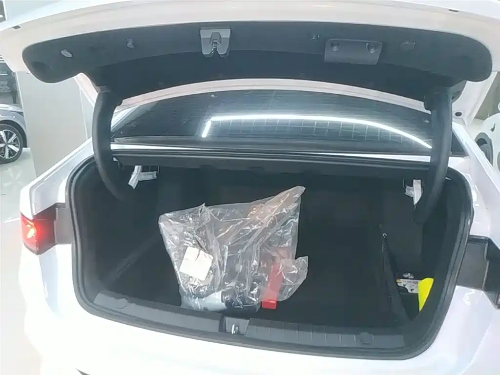 BYD Qin PLUS 2024 Glory Edition DM-i 55KM Leading фото 19