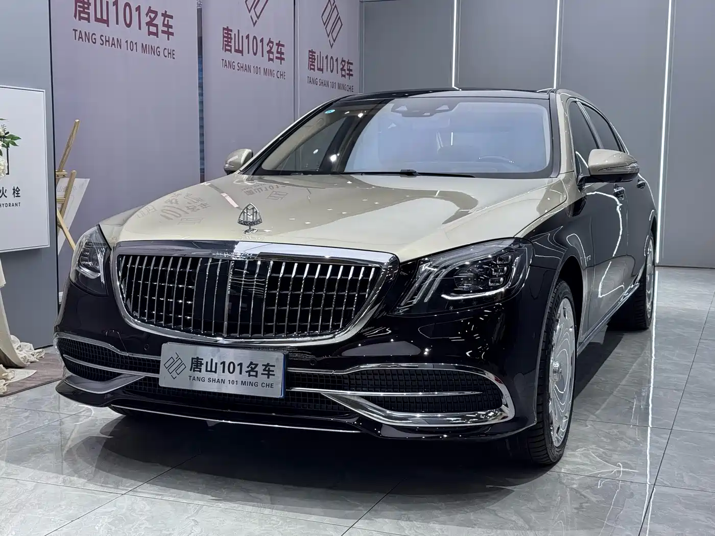 MERCEDES-BENZ MAYBACH S CLASS