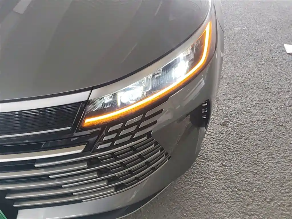 BYD Destroyer 05 2024 Glory Edition DM-i 55KM Luxury фото 24