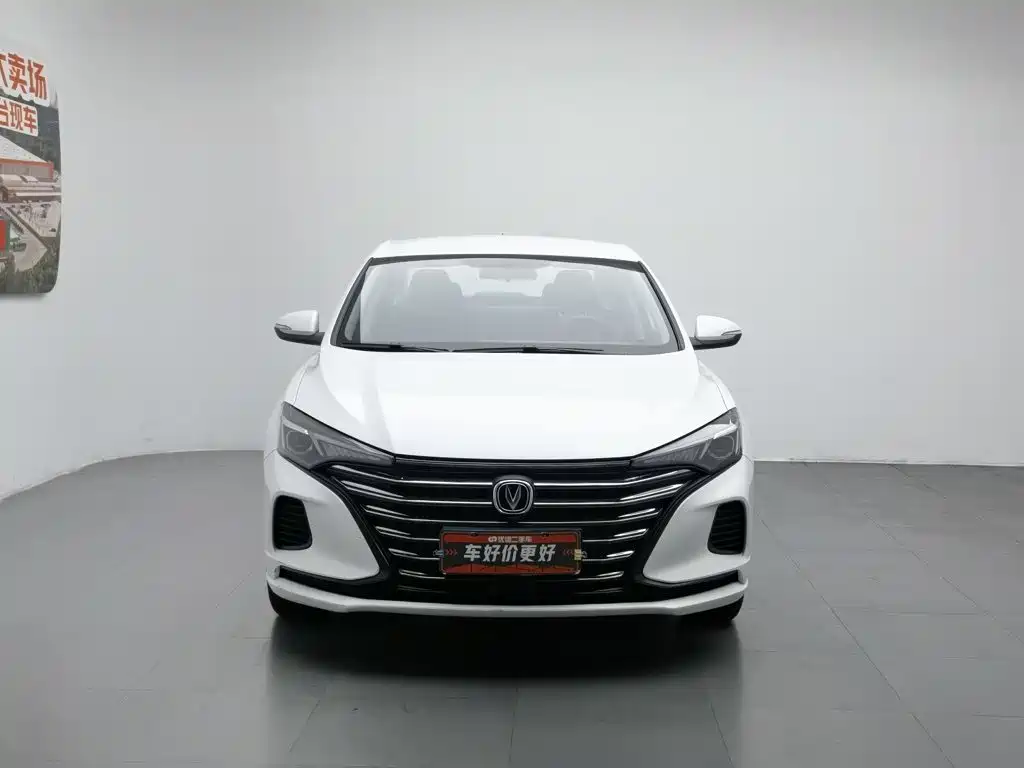 Фото 3 - Changan Eado