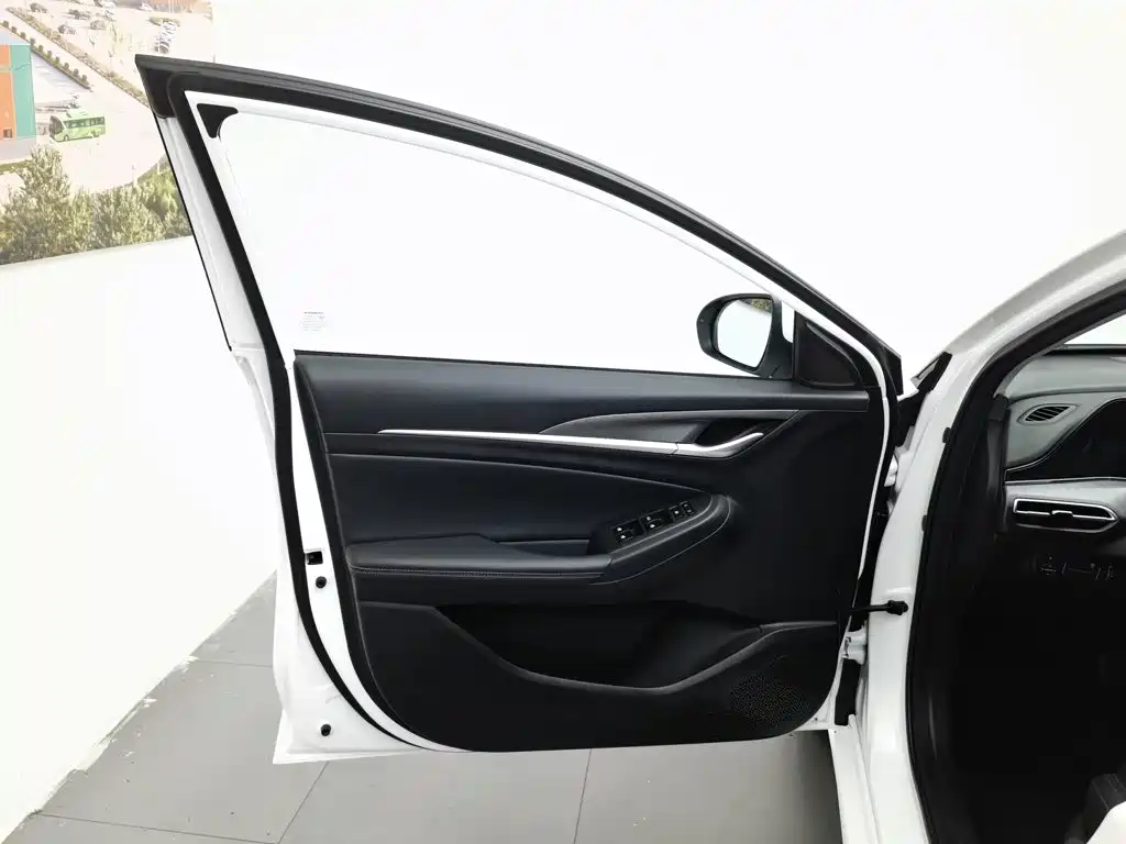 Фото 8 - Changan Eado