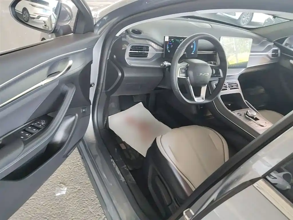 BYD Destroyer 05 2024 Glory Edition DM-i 55KM Luxury фото 16