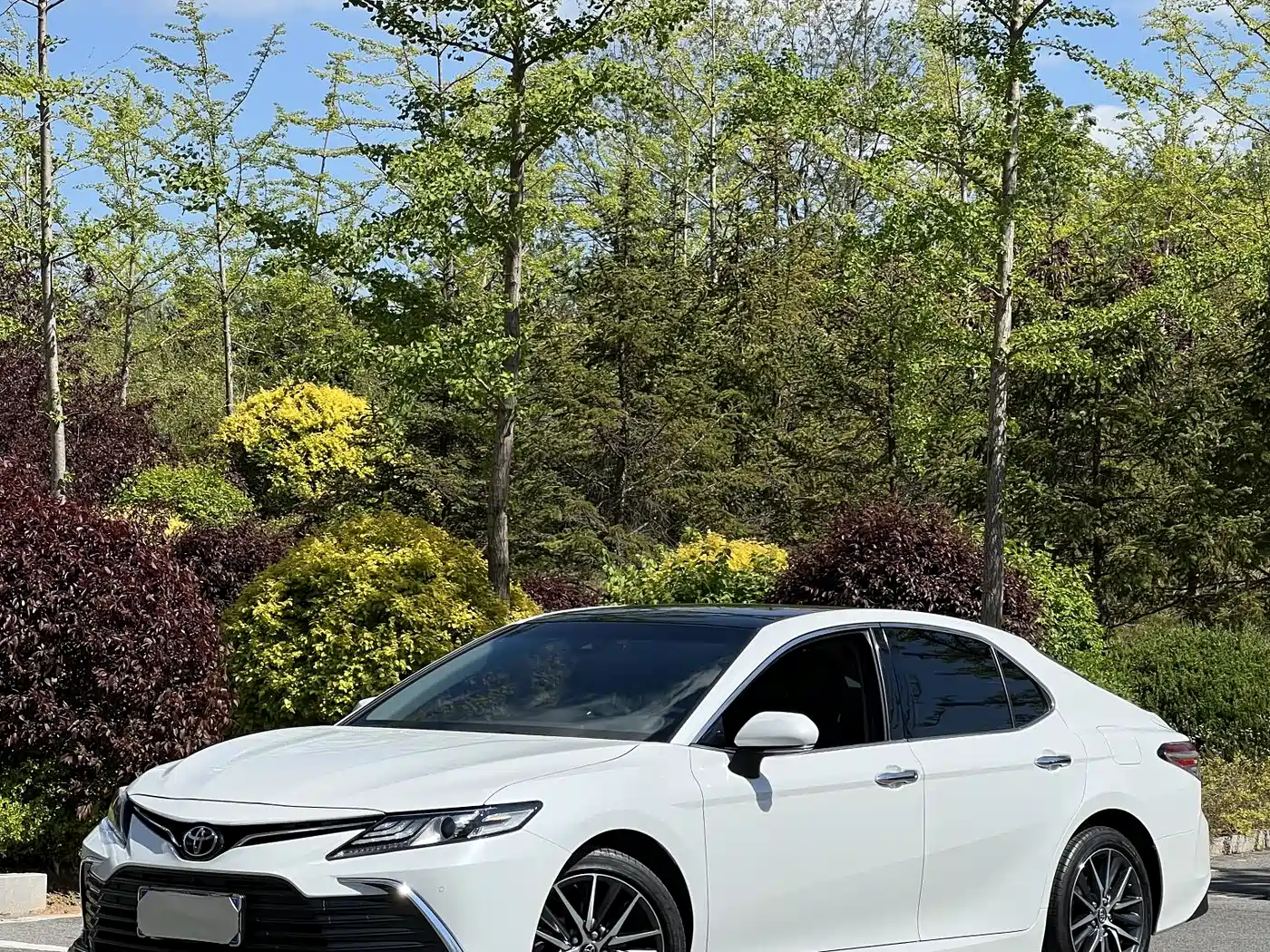 Toyota Camry 2021 2.5G Luxury Edition