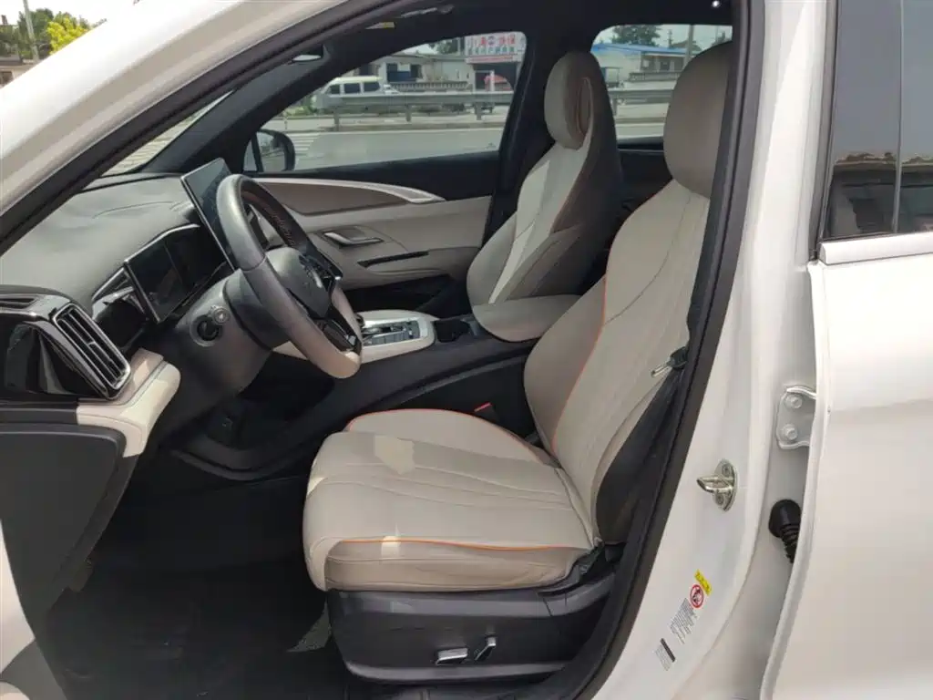 BYD Song Pro New Energy 2023 Champion Edition DM-i 110KM Excellence фото 15