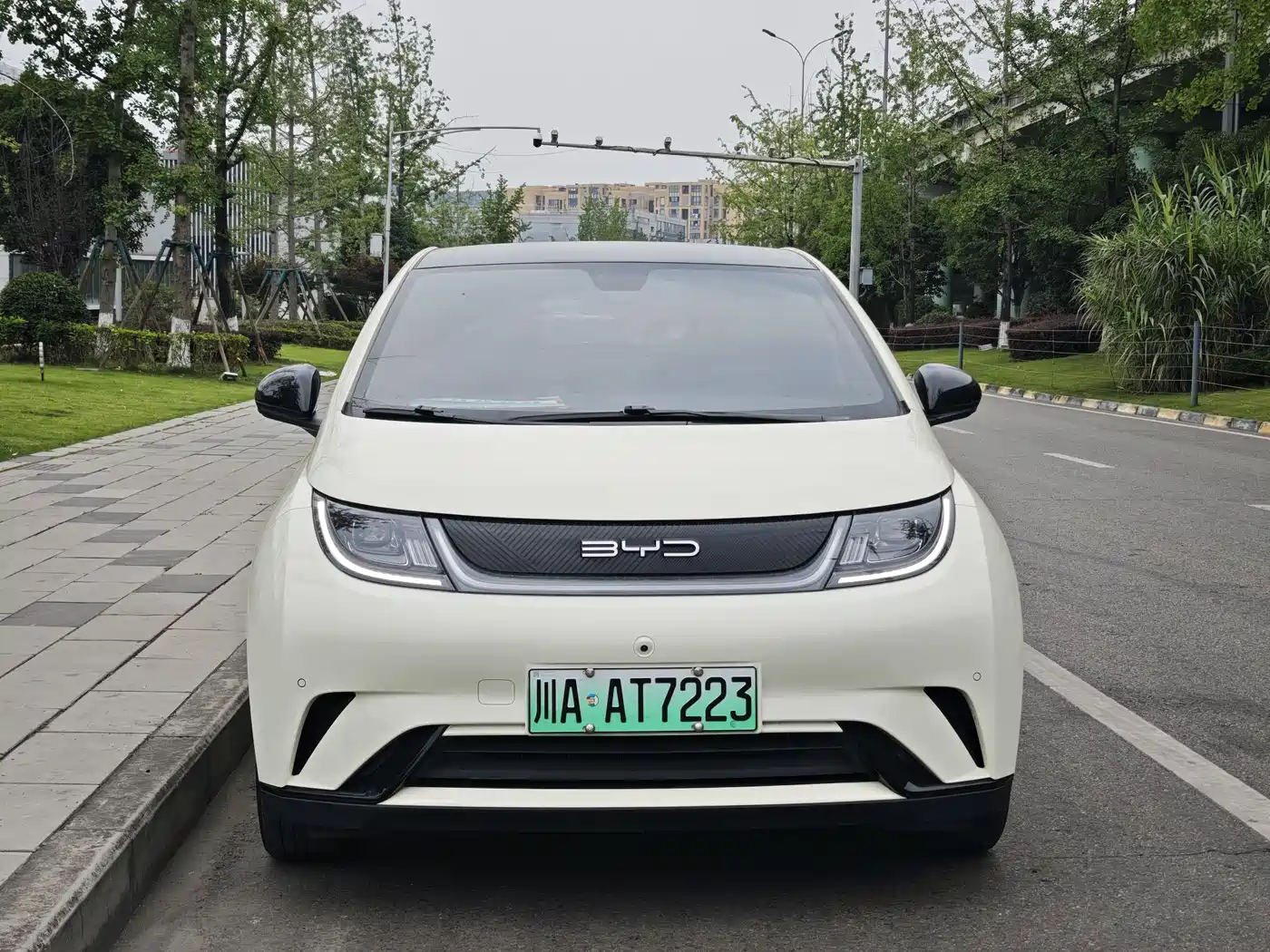 BYD Dolphin 2023 420km Fashion Edition фото 2