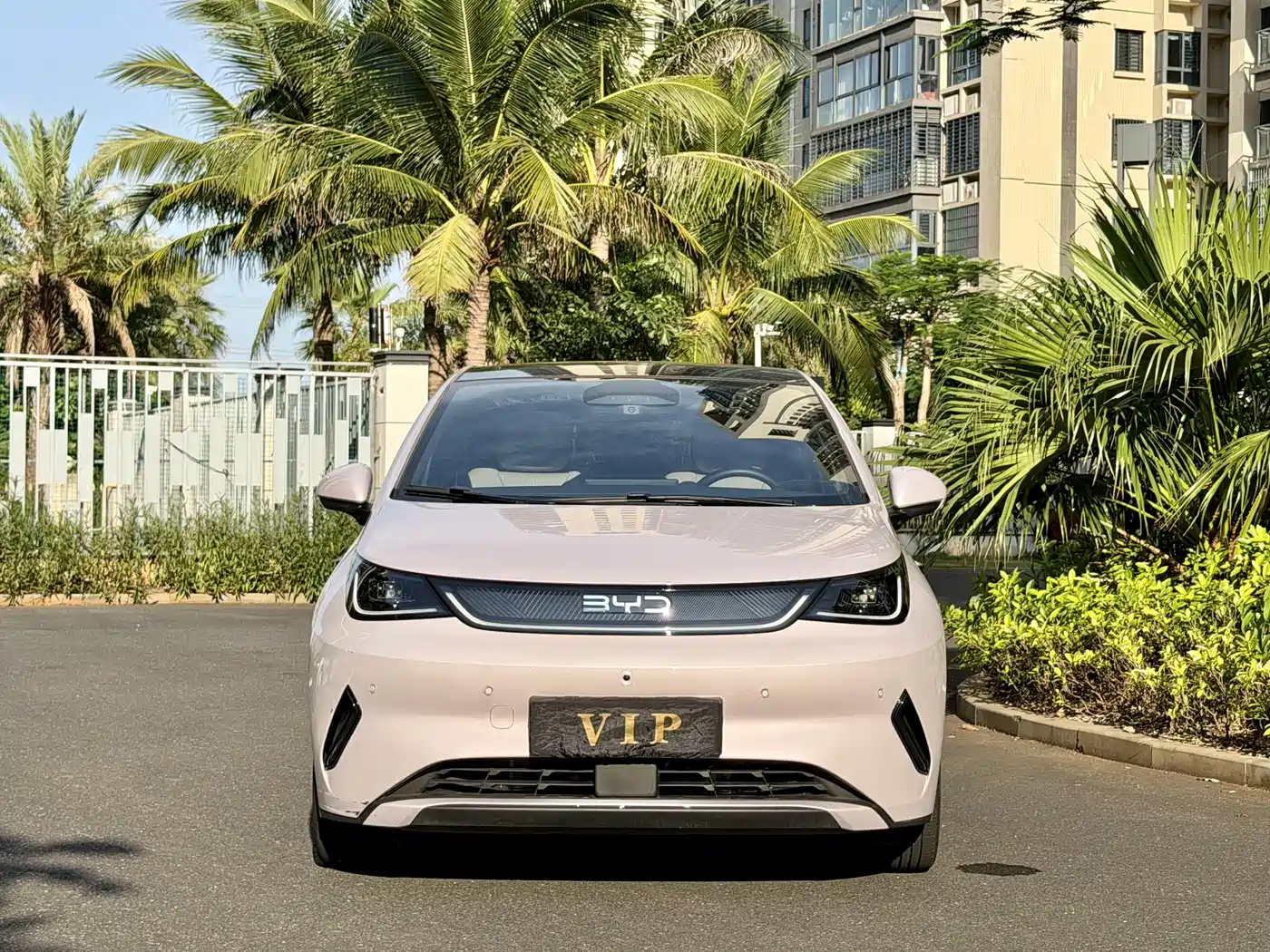 BYD Dolphin 2025 Smart Drive Edition 410km Fashion Version фото 2