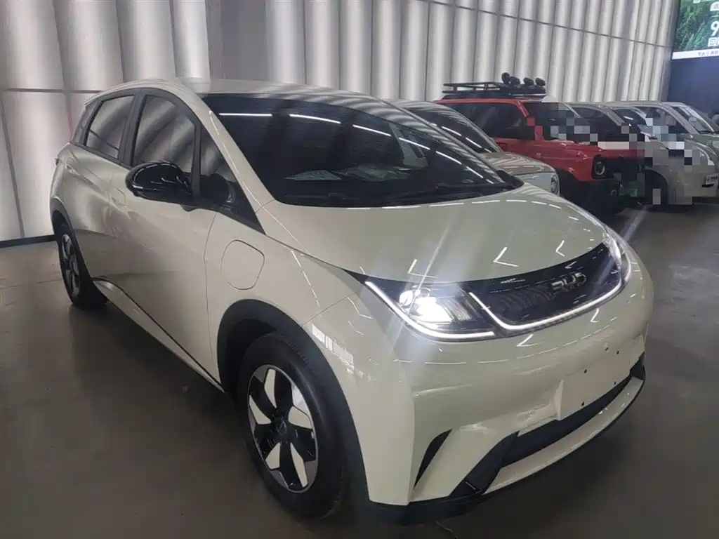 BYD Dolphin 2024 Glory Edition 420km Freedom Edition фото 4