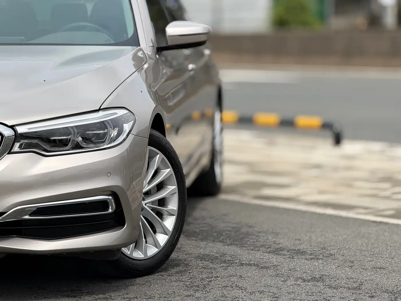BMW 5 Series 2020 530Li Leading Luxury Package фото 8