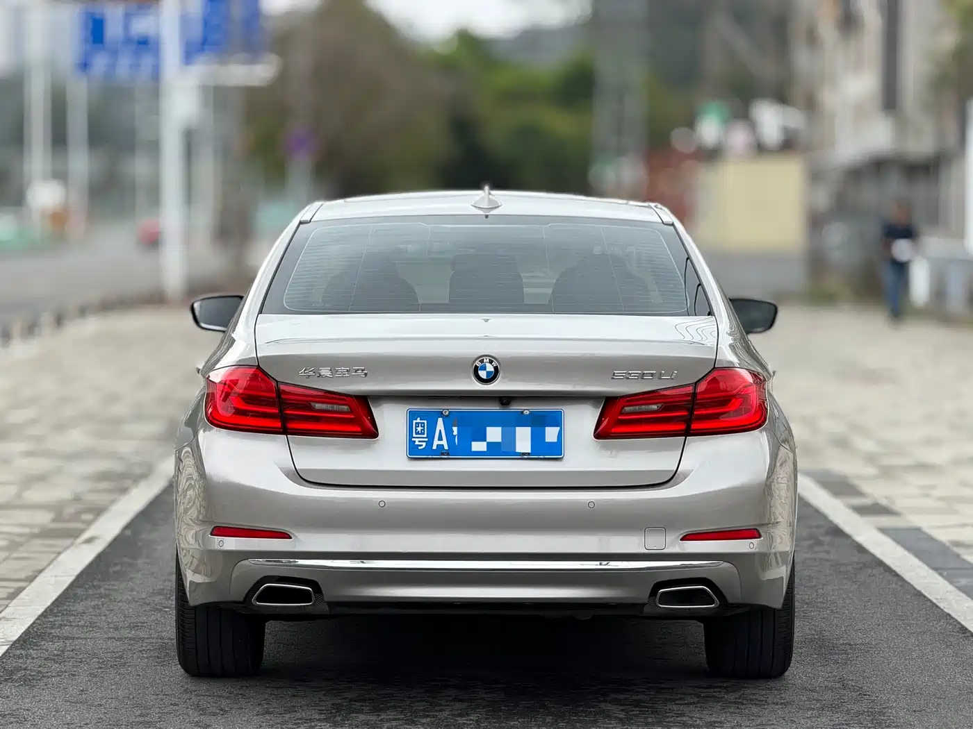 BMW 5 Series 2020 530Li Leading Luxury Package фото 4