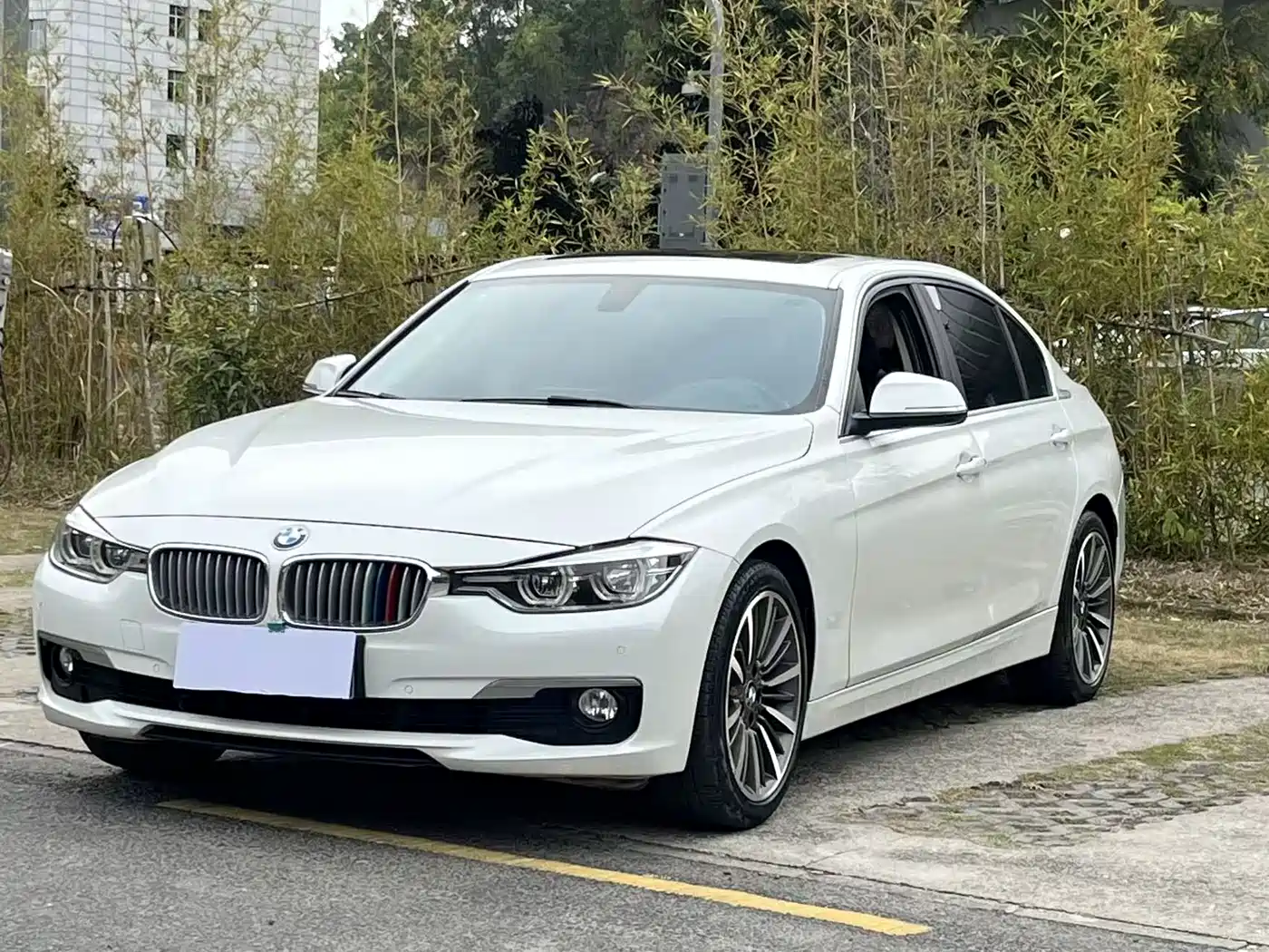 BMW 3 Series 2019 320Li Fashion Type
