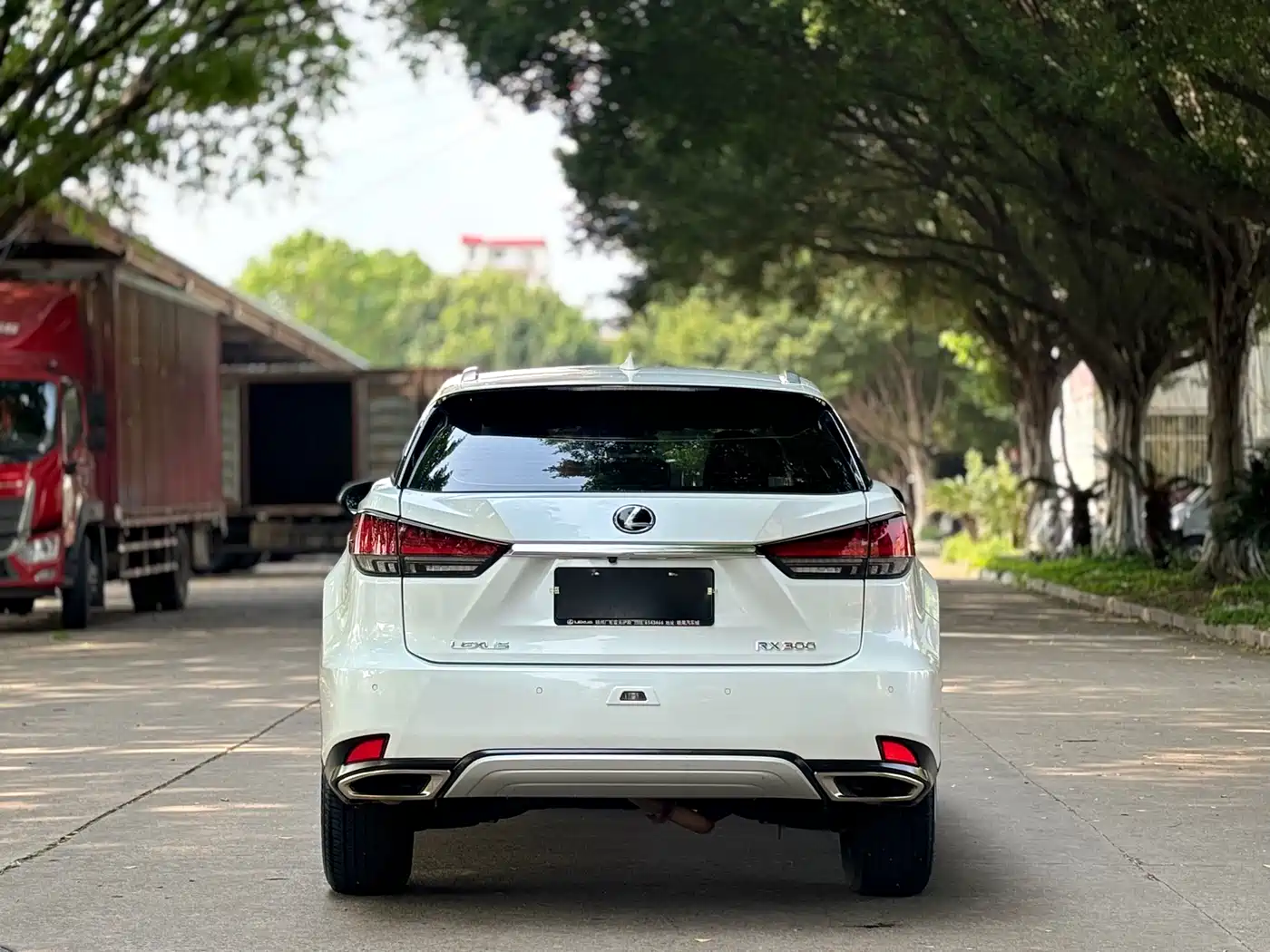 LEXUS RX