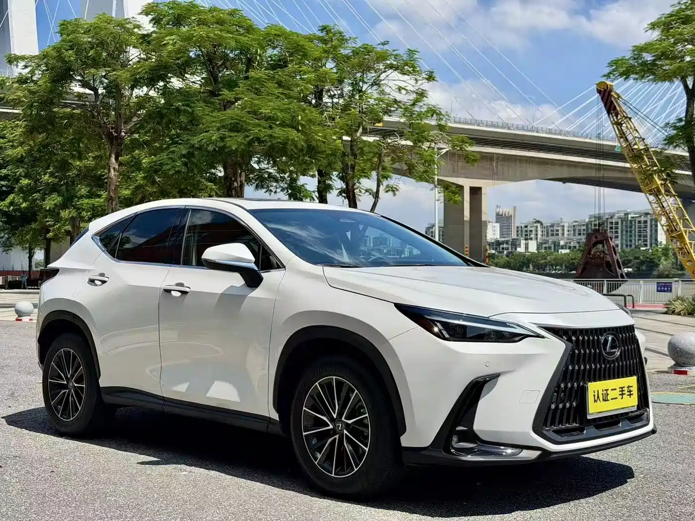 Lexus NX 2024 2024 260 FWD Joy Creation Edition