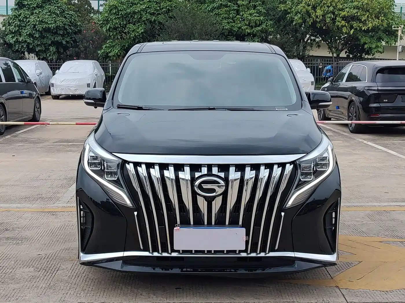GAC Trumpchi Trumpchi M8 2021 Leading Show Series 390T Luxury Edition фото 2